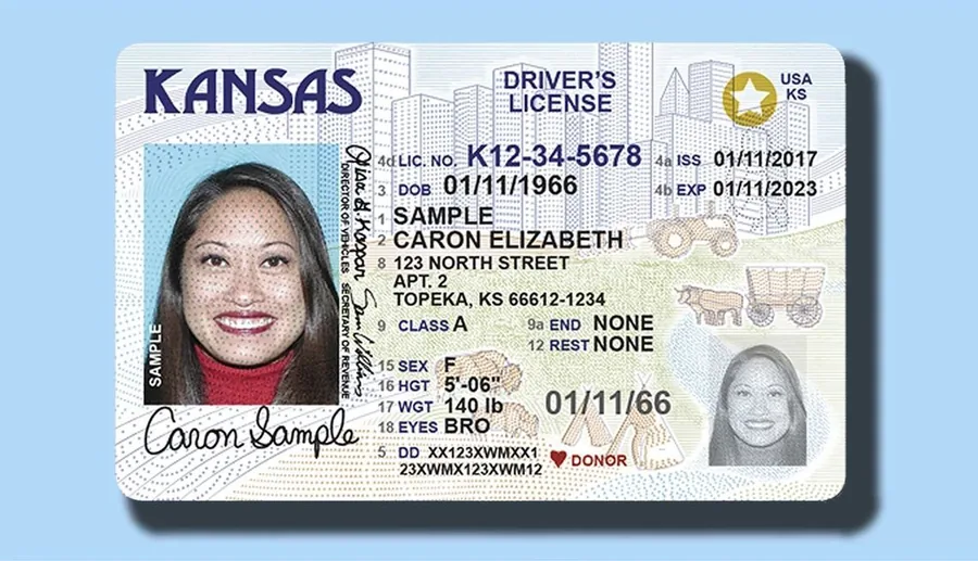 US driver's license specimen